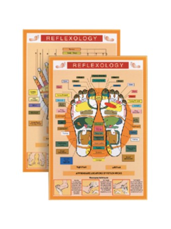 Reflexology Mini Chart Reflexology Mini Chart