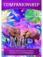 Divine Abundance Oracle by Tosha Silver & Fernanda González 