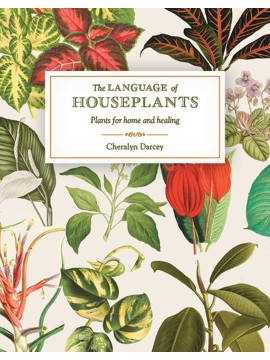 The Language of Houseplants by Cheralyn Darcey