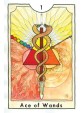 The New Chapter Tarot by Kathryn Briggs