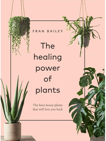 The Healing Power of Plants by Fran Bailey