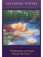 Sacred Traveler Oracle Cards by Denise Linn