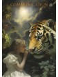 Soul Coaching Oracle - Revised Edition by Denise Linn 